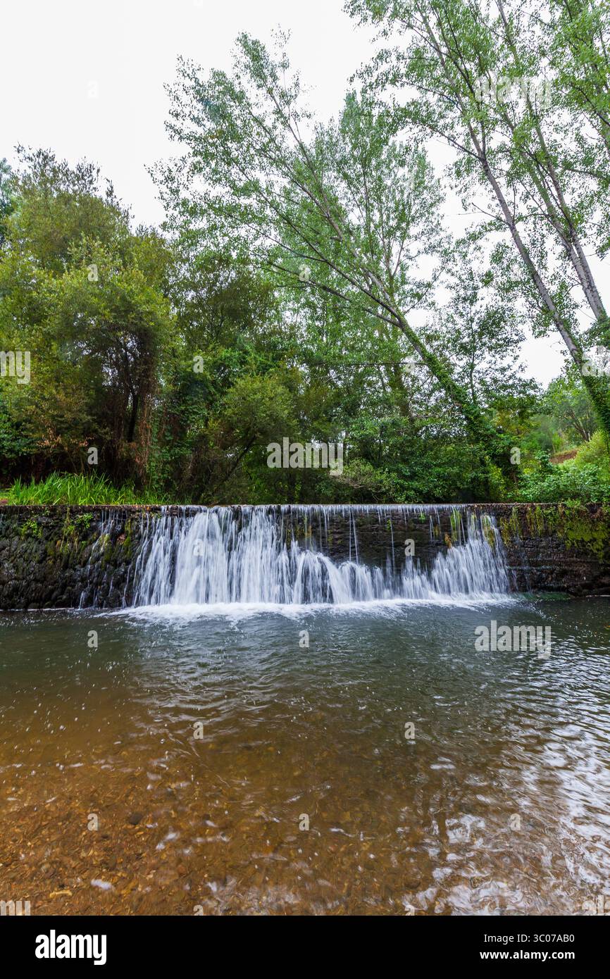 Una tranquilla foresta presenta una piccola cascata che cade su una diga di pietra, circondata da vegetazione lussureggiante e da un tranquillo corso d'acqua Foto Stock