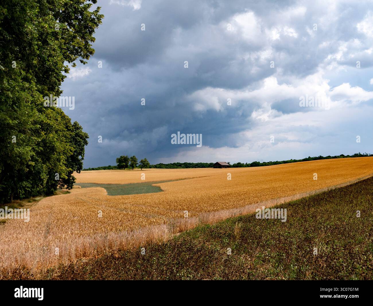 Atmosfera di tempesta sui campi di grano. Preso vicino a Eichstätt nella splendida Baviera. Foto Stock