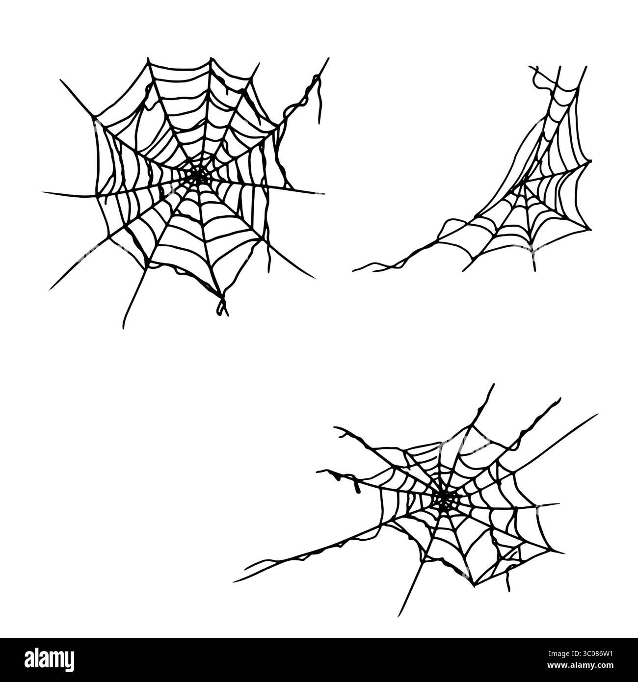 Ragnatela di Spider, serie di silhouette, schizzo a inchiostro bianco e nero. Illustrazione vettoriale. Il decor tradizionale e' una festa di Halloween, isolata su un bianco Illustrazione Vettoriale