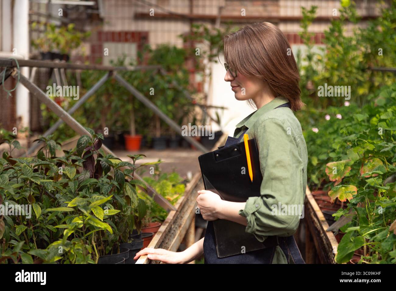 lavoratrice di serra che controlla le piante verdi e prende appunti Foto Stock