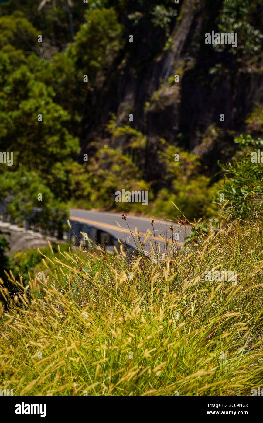Vista sulla strada di Hana Foto Stock