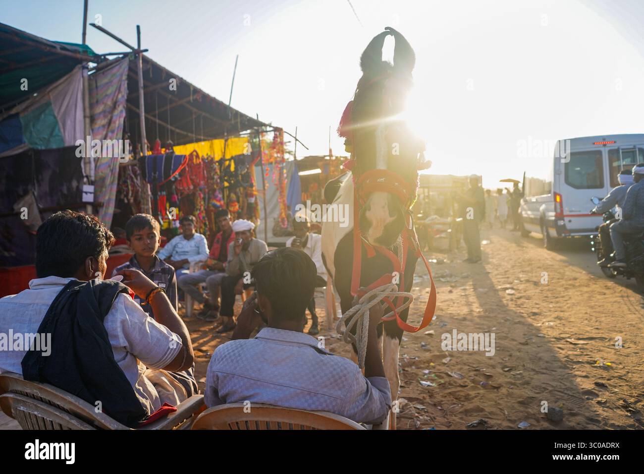 Pushkar Camel Fair, 2024, Rajasthan, India Foto Stock