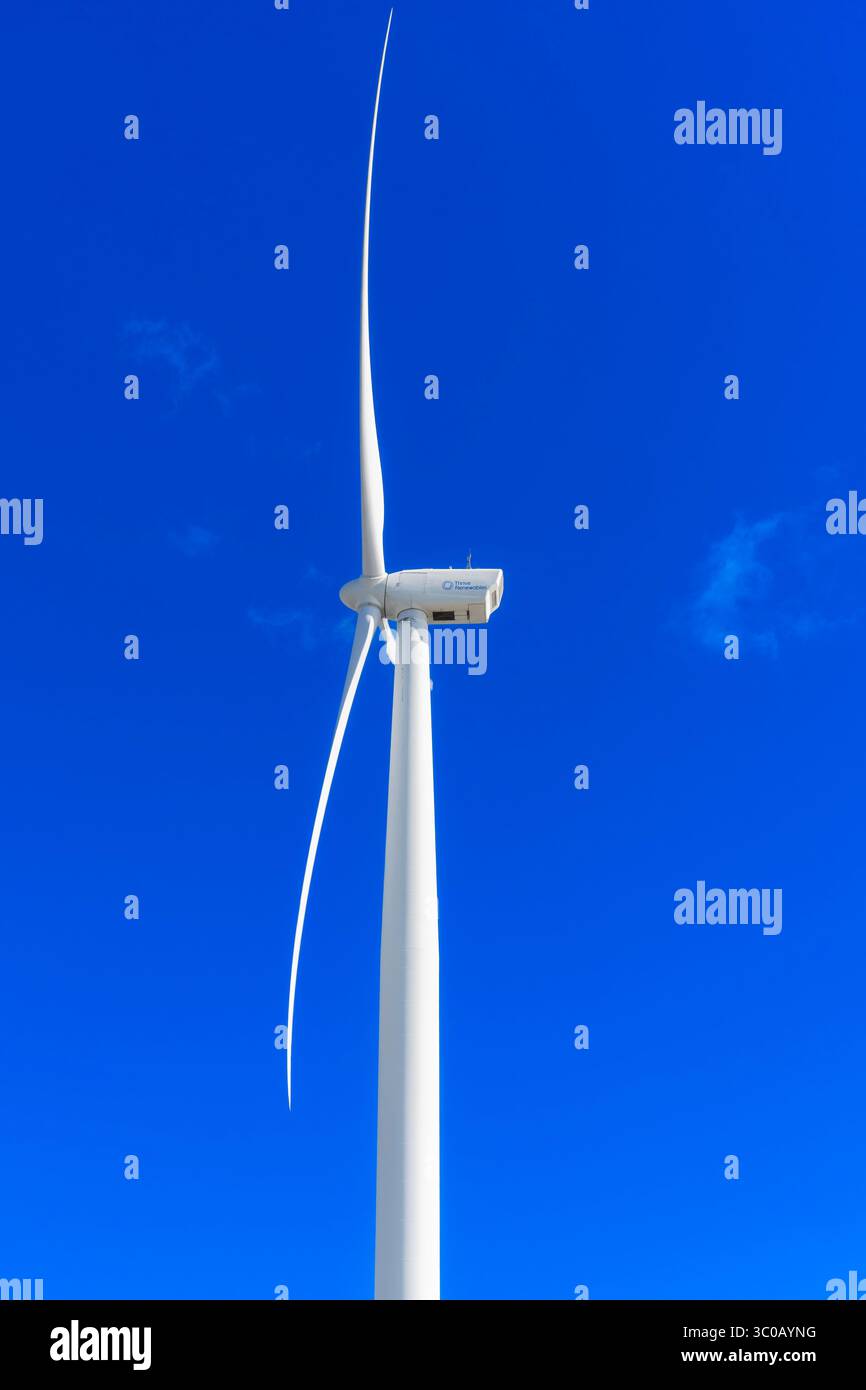 L'unica turbina eolica on-shore sulla costa orientale a Lowestoft, Ness Point Wind Farm. Chiamato Gulliver, alto 126 metri, è il più alto del Regno Unito! Foto Stock