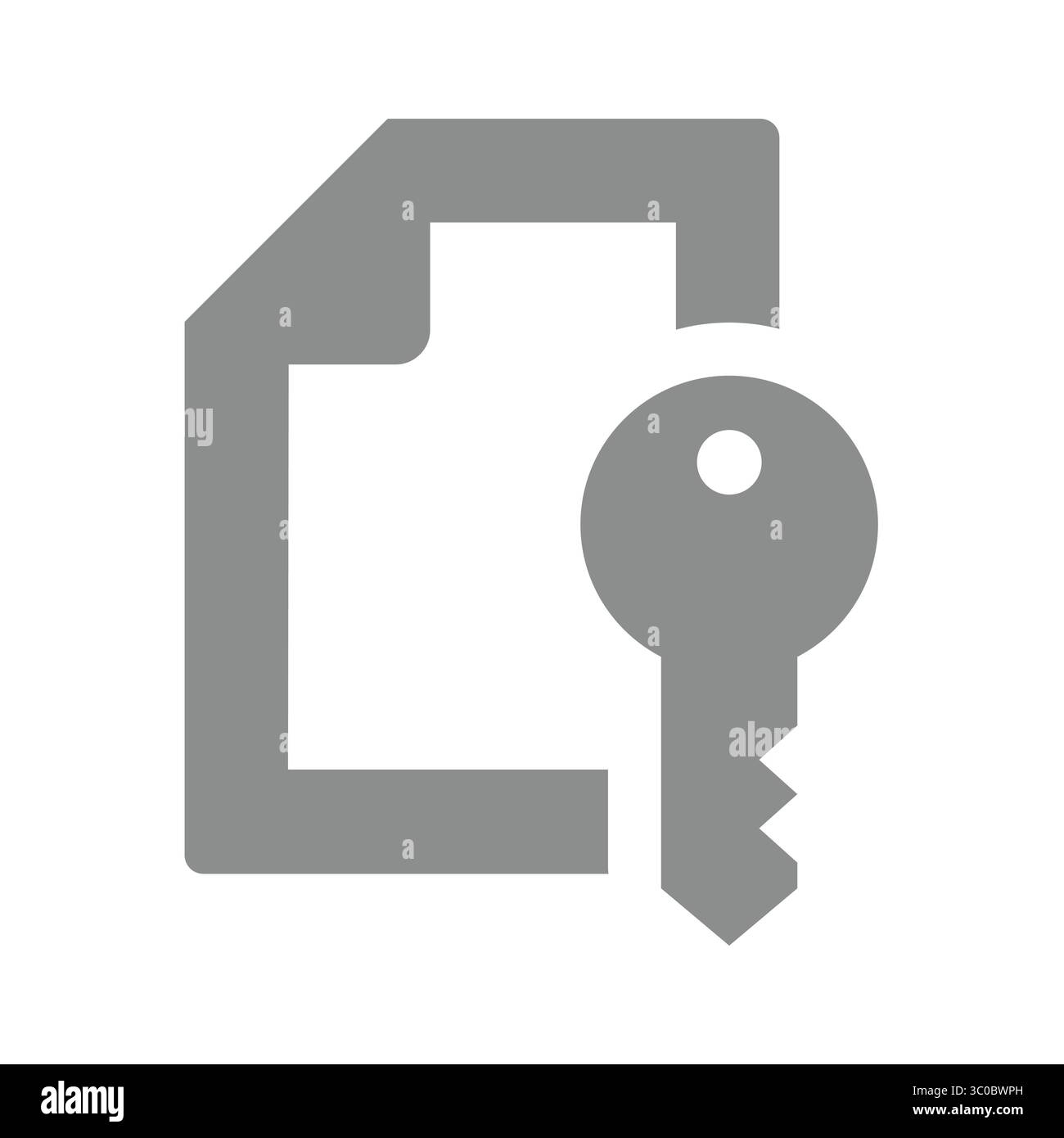 Icona vettoriale documento crittografato. Dati privati protetti da password e file con chiave bloccata. Illustrazione Vettoriale