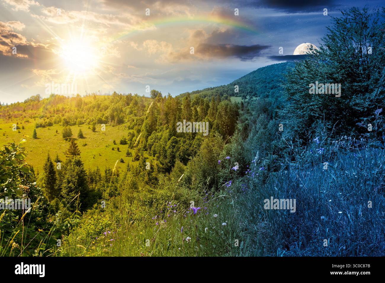 paesaggio estivo con foresta sulla collina. vista panoramica delle highlands con sole e luna al crepuscolo. concetto di cambiamento di orario diurno e notturno. scenario in dar Foto Stock