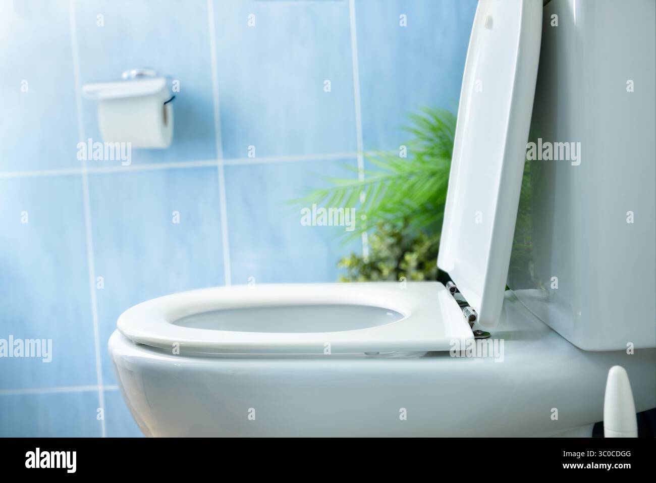 Dettaglio del lato di una ciotola bianca pulita con il coperchio aperto in un bagno con piante, accessori e piastrelle blu. Foto Stock