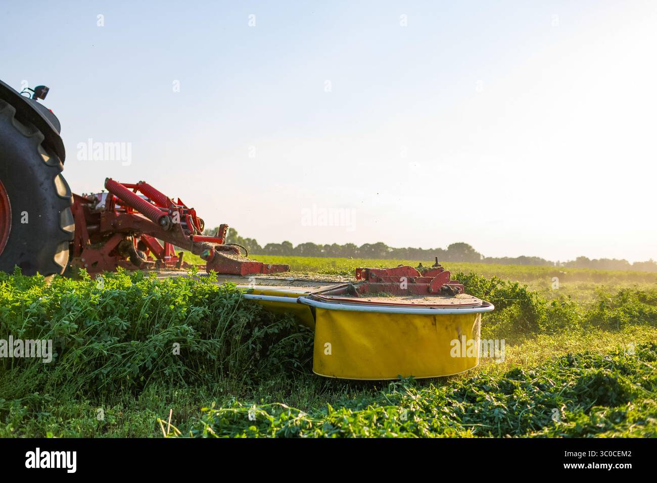 Macchinari moderni per la raccolta di trifoglio per mangimi nutrienti, che mettono in evidenza l'agricoltura sostenibile e l'alimentazione animale Foto Stock
