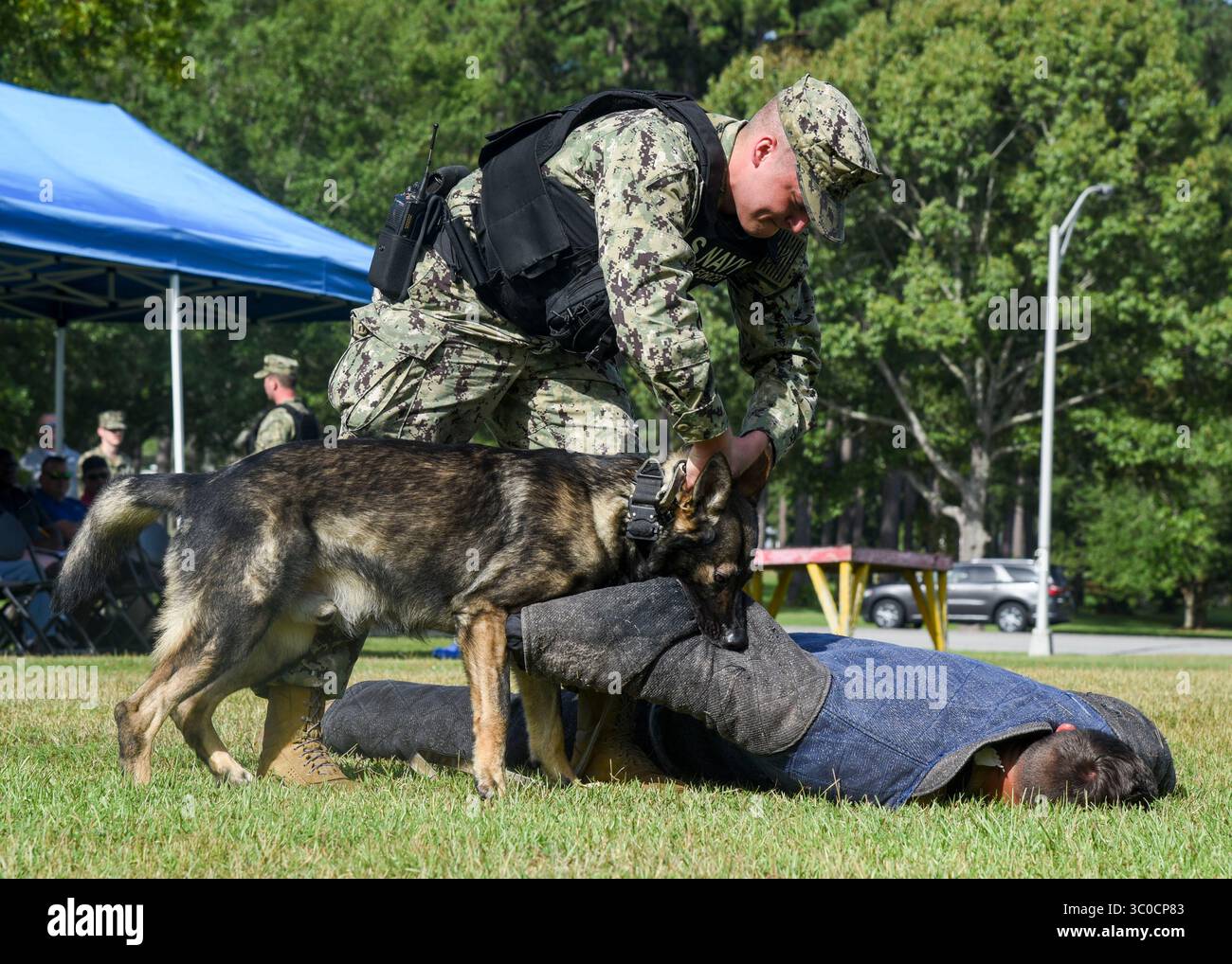 14 agosto 2018 - Meridian, Mississippi, Stati Uniti - Master-at-Arms 3rd Class Jonathan White dimostra le capacità del suo cane da lavoro militare (MWD) Babaâ su Master-at-Arms 3rd Class Dylan Pilkington come parte di una dimostrazione MWD a bordo della Naval Air Station (NAS) Meridian. Baba è meridiani NAS primo MWD in 11 anni con piani per espandere il programma a cinque cani. (Immagine di credito: © U.S. Navy/ZUMA Wire/ZUMAPRESS.com) Foto Stock