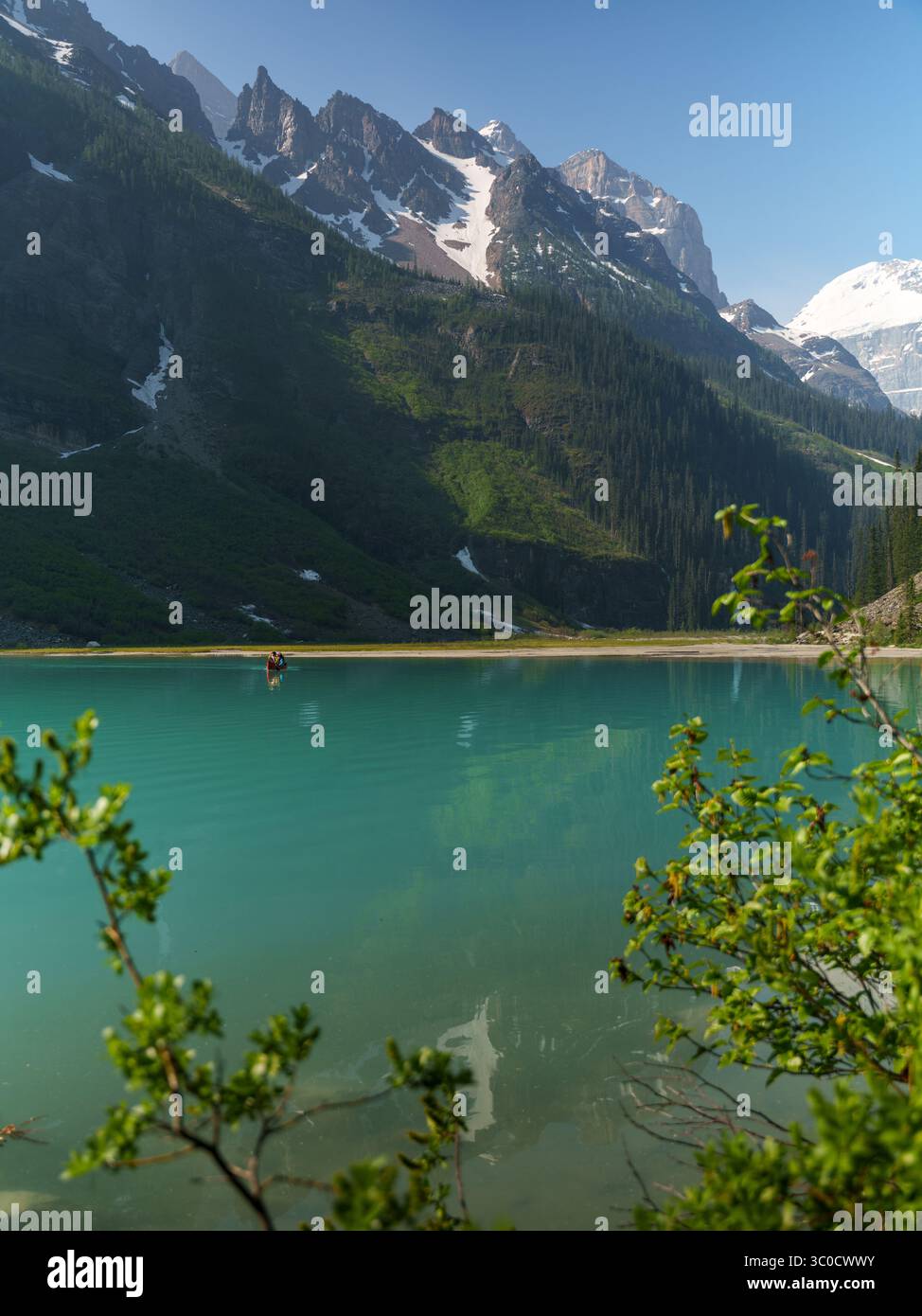 Lago Louise turchese nelle Montagne Rocciose canadesi con una canoa sull'acqua, incorniciato da piante verdi e circondato da foreste di pini e vette innevate Foto Stock