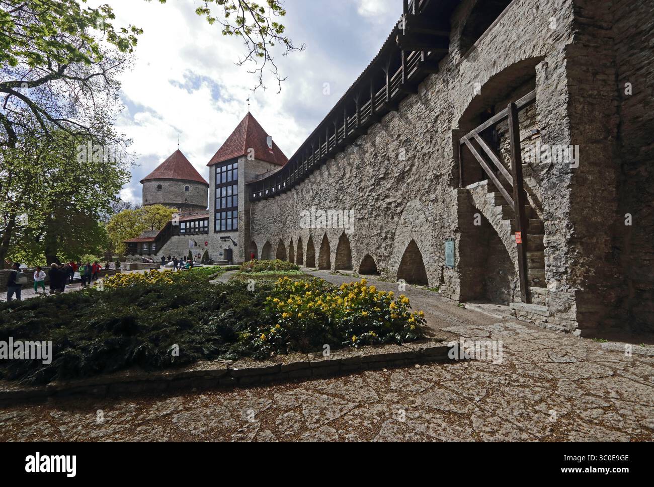 Mura e torri della città che fanno parte del museo Kiek in de Kok, Tallinn Foto Stock
