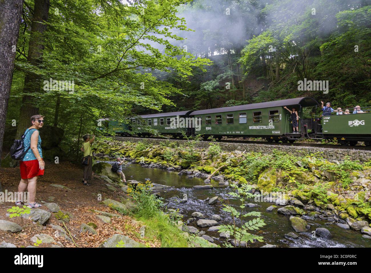 La ferrovia a scartamento ridotto Freital-Hainsberg-Kurort Kipsdorf, nota anche come Weisseritz Valley Railway, è una ferrovia sassone a scartamento ridotto nel periodo pasquale Foto Stock