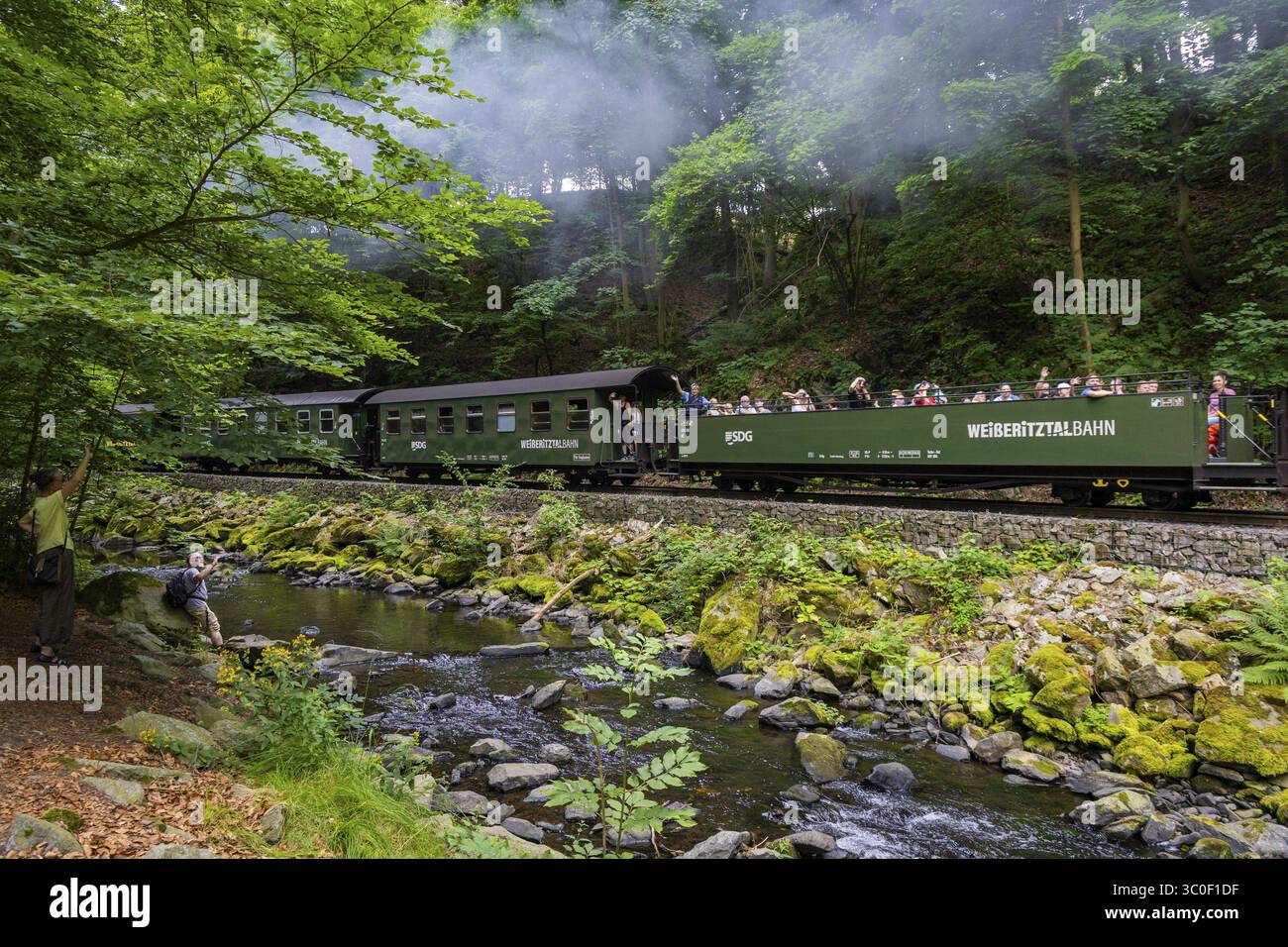La ferrovia a scartamento ridotto Freital-Hainsberg-Kurort Kipsdorf, nota anche come Weisseritz Valley Railway, è una ferrovia sassone a scartamento ridotto nel periodo pasquale Foto Stock