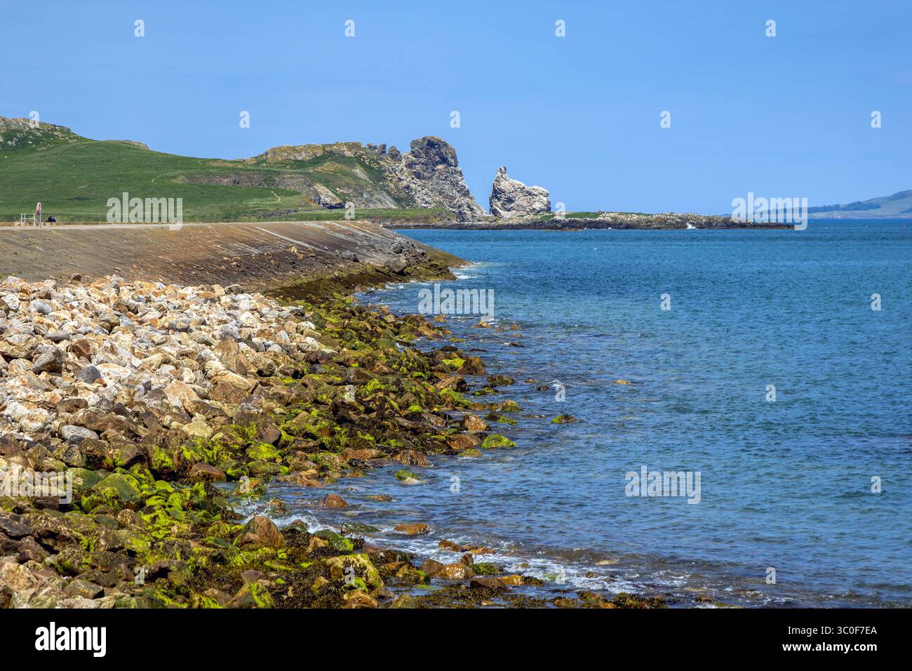 Vista da Howth verso Ireland's Eye, una piccola isola disabitata al largo della costa della contea di Dublino, Irlanda. Foto Stock