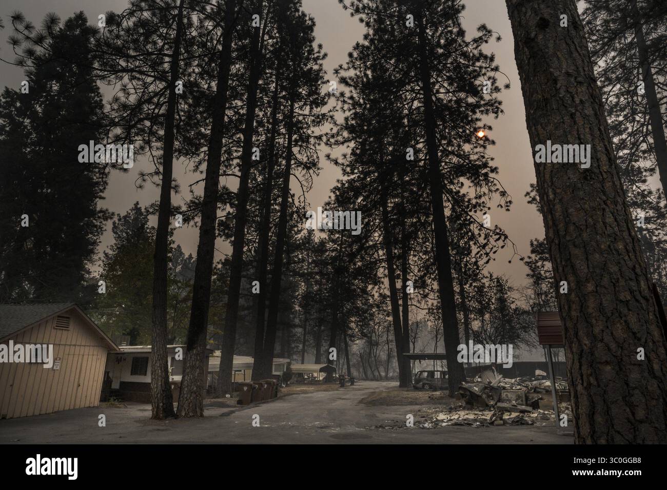 15 novembre 2018 - Paradise, California, Stati Uniti - un sole arancione brilla tra gli alberi anneriti mentre rimangono tre rimorchi e un edificio dopo che il Camp Fire ha inghiottito la maggior parte del Pine Springs Mobile Home Park su Clark Road giovedì 15 novembre 2018 a Paradise, California (Credit Image: © Renee C. Byer/Sacramento Bee via ZUMA Wire) Foto Stock