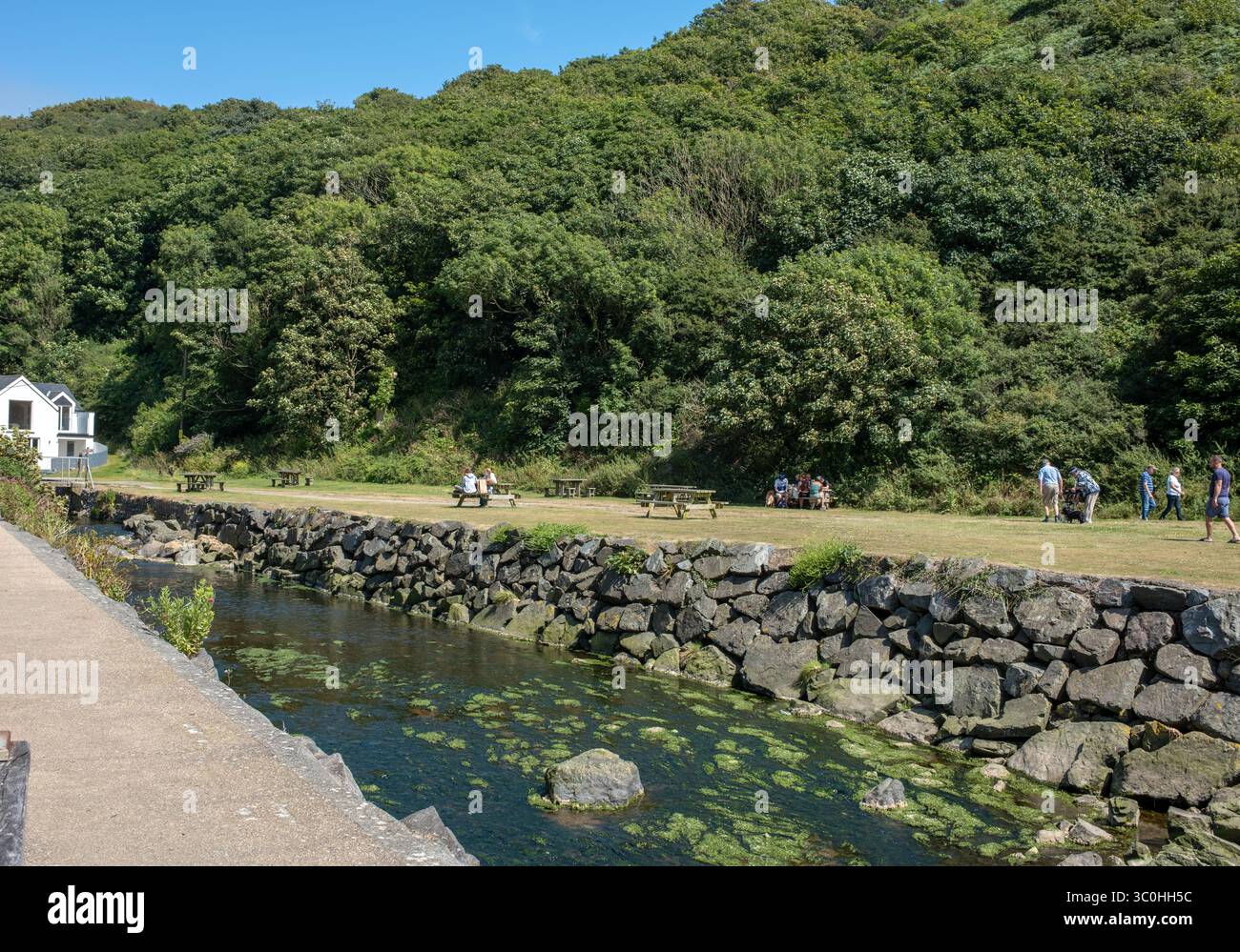 Solva Harbour nel Pembrokeshire Galles occidentale Regno Unito Foto Stock