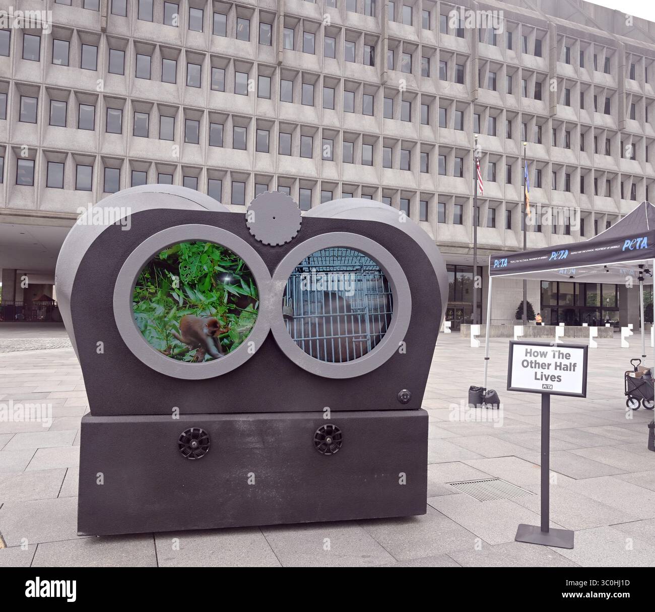 Washington DC luglio 21,2025 USA: PETA prepara uno schermo video progettato come binocolo presso l'edificio Health and Human Services (HHS) a Washington DC to Foto Stock