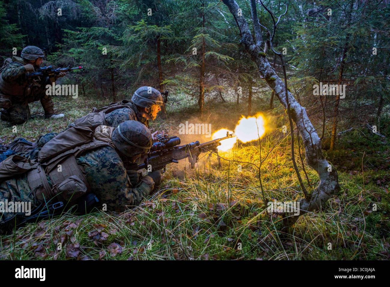 7 novembre 2018 - Norvegia - U.S. Marines Cpl Justin Droll e Lance Cpl. Stephen Luzier, Machine Gunners (0331), con compagnia e, 2nd Battalion, 2nd Marine Regiment, 2nd Marine Division, assalto una posizione nemica durante l'esercitazione Trident giuntura 18, Norvegia, novembre. 7, 2018. Gli eventi per la giuntura Trident forniranno alla 2a Divisione Marines la formazione in ambienti unici a sostegno delle nazioni partner. (Immagine di credito: © U.S. Marine Corps/ZUMA Wire/ZUMAPRESS.com) Foto Stock