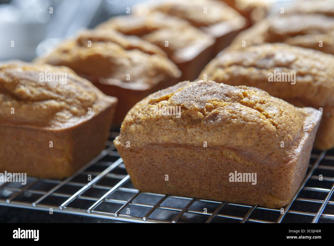 7 aprile 2018 - New York, New York, Stati Uniti - Mini pani di zucca su rack di raffreddamento (immagine di credito: © Novo Images/Glasshouse via ZUMA Wire) Foto Stock