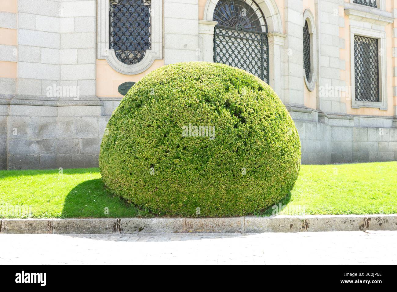Al Jardines del Palacio Real de la Granja in Spagna, una siepe sferica si distingue contro l'elegante architettura. Foto Stock