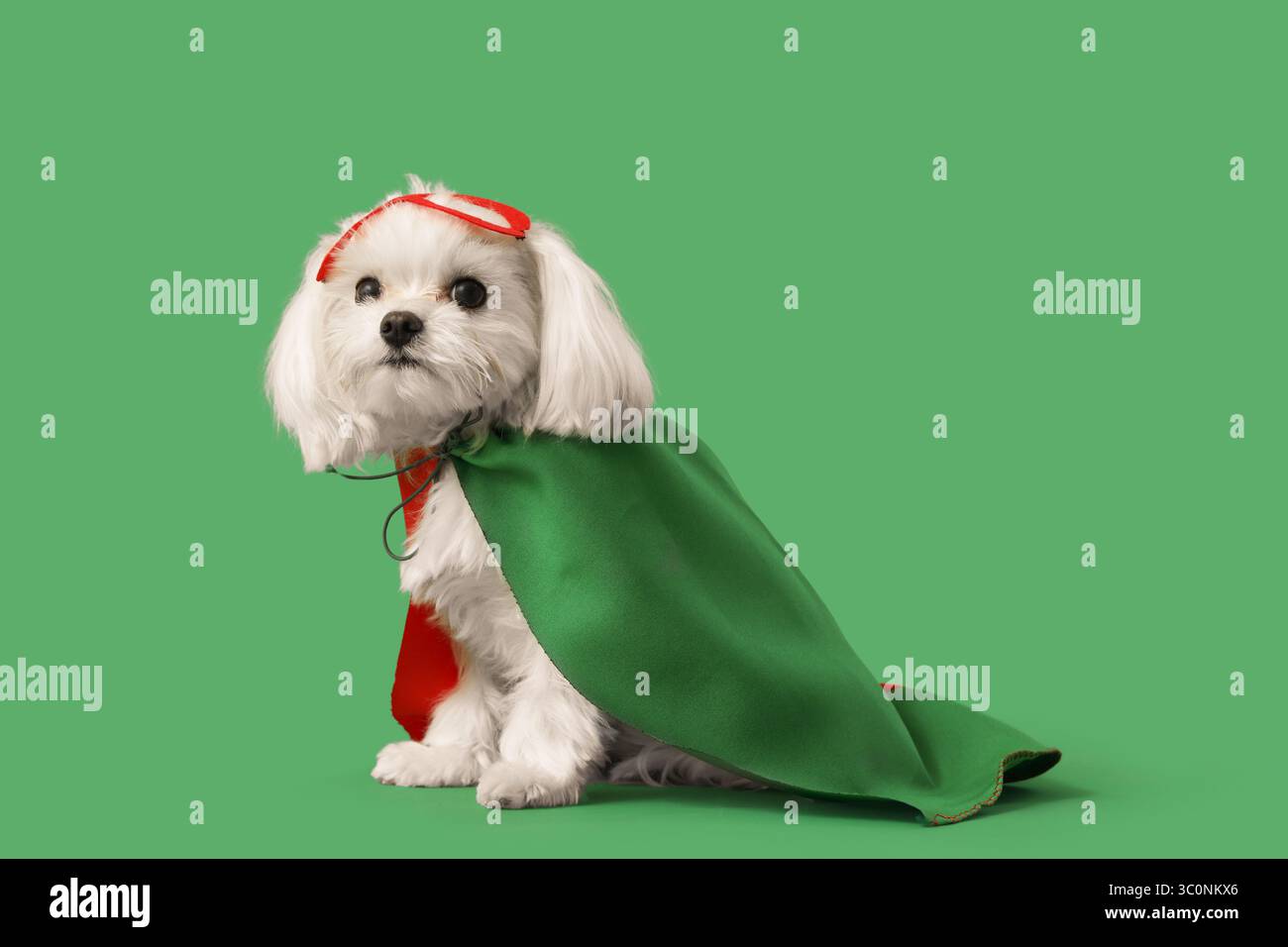Carino cagnolino in costume da supereroe su sfondo verde Foto Stock