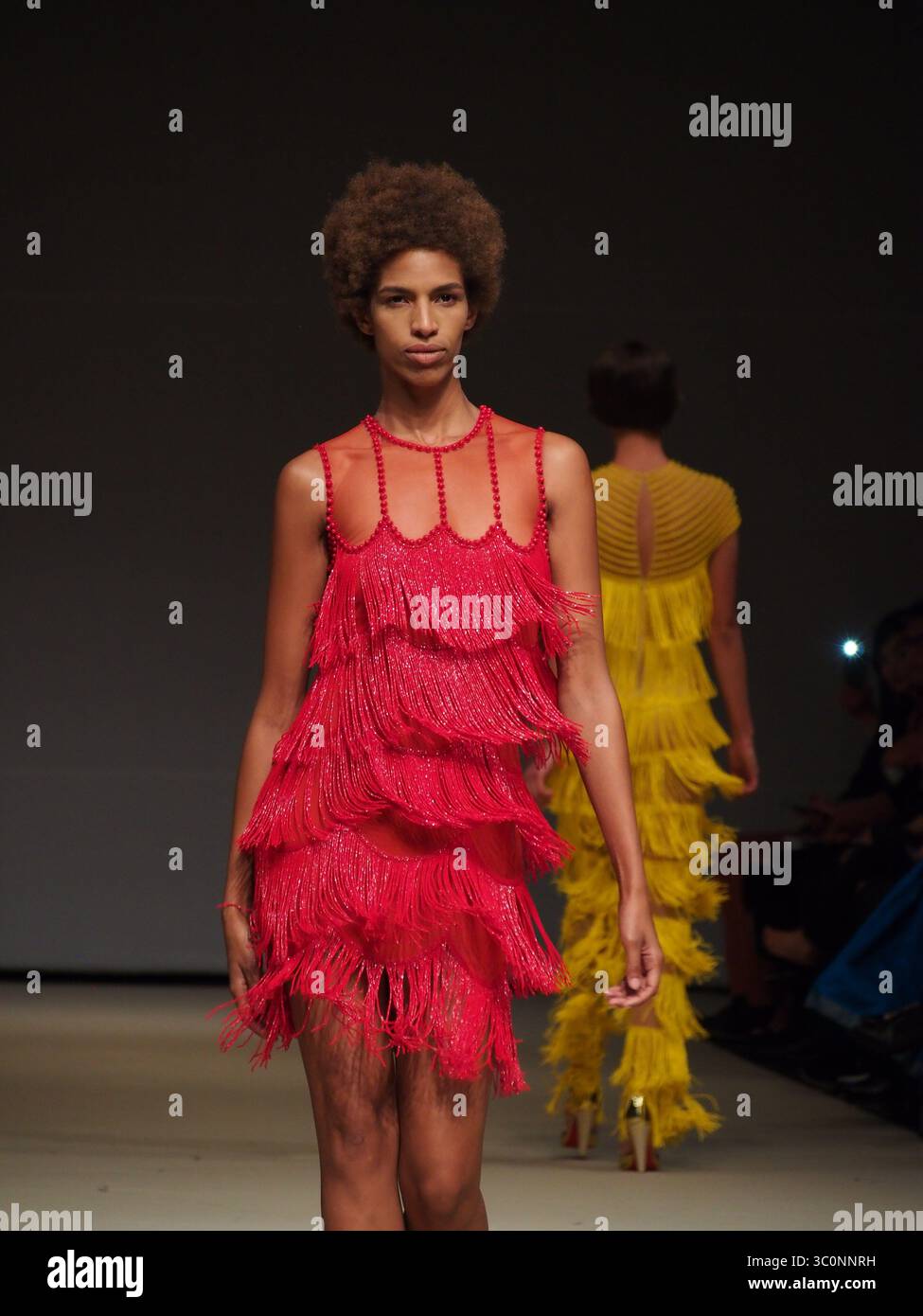 25 aprile 2017 - Lima, Lima, Perù - il design di Naeem KhanÂ al festival Lima Fashion Week 2017 (LIFWEEK 2017). L'evento mostra i migliori designer peruviani per la stagione autunno-inverno 2017 dal 25 al 28 aprile presso il Centro Congressi di Lima. (Immagine di credito: © Carlos Garcia Granthon/ZUMA Wire) Foto Stock
