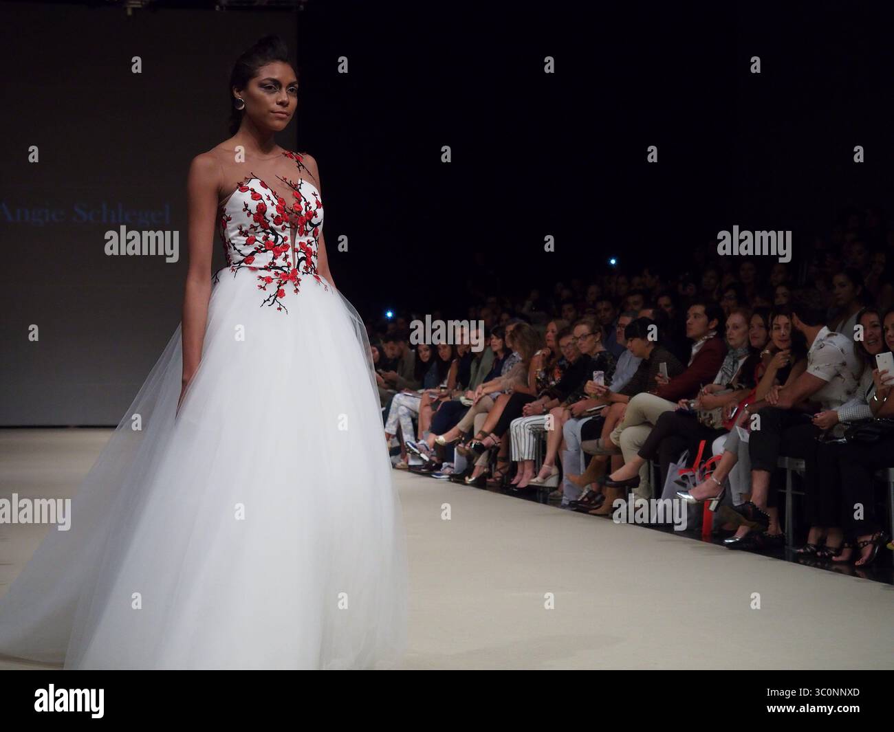 26 aprile 2017 - Lima, Lima, Perù - Un abito della collezione della designer Angie Schlegel nel festival Lima Fashion Week 2017 (LIFWEEK 2017). L'evento mostra i migliori designer peruviani per la stagione autunno-inverno 2017 dal 25 al 28 aprile presso il Centro Congressi di Lima. (Immagine di credito: © Carlos Garcia Granthon/ZUMA Wire) Foto Stock