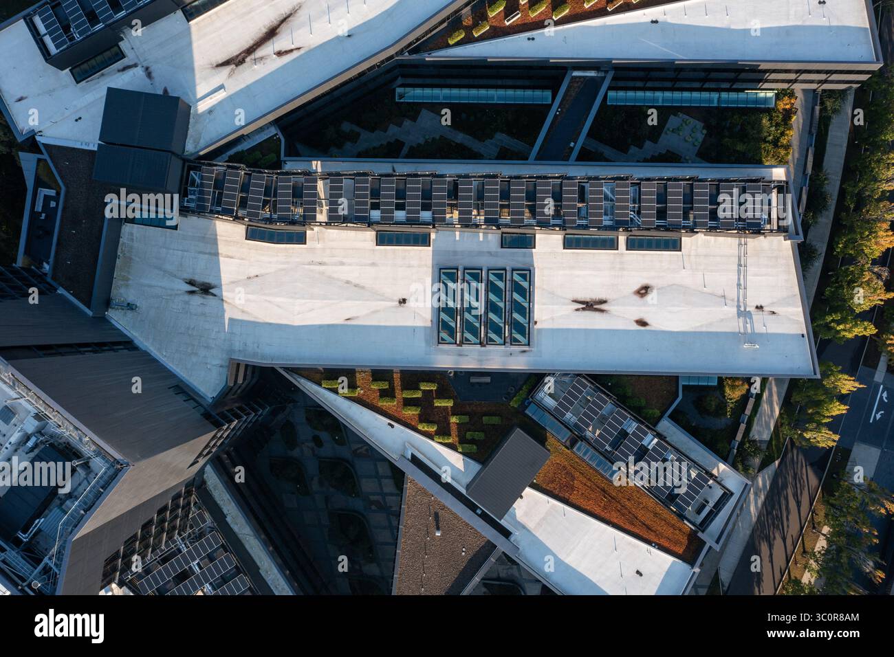 Foto del drone aereo di enormi pannelli solari ecologici, che utilizzano energia solare pulita e rinnovabile, installati sul tetto di un grande edificio commerciale Foto Stock