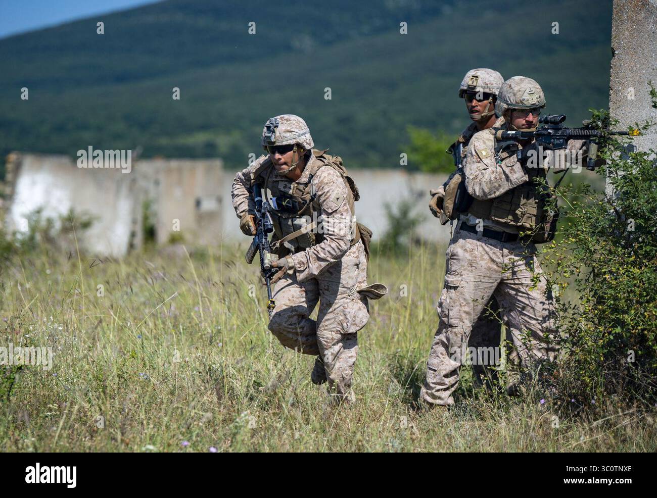 Media Day in Bulgaria durante Platinum Lion 2019 (5593756). Foto Stock