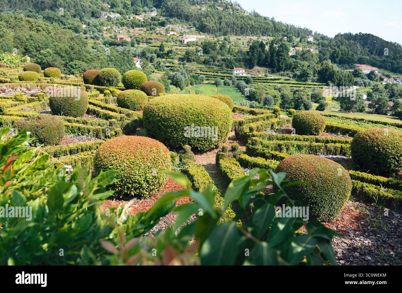 Giardino topiario sulle colline di Ponte de Lima, Portogallo, caratterizzato da siepi ben rifilate e cespugli scolpiti circondati da campagna terrazzata Foto Stock