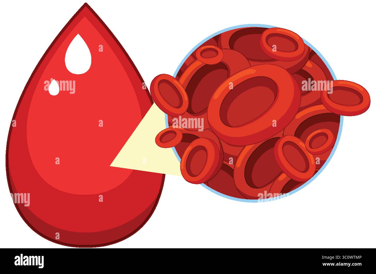 Illustrazione vettoriale di una goccia di sangue rosso e di una vista ingrandita dei globuli rossi, utilizzando colori vivaci, linee pulite e composizione semplice Illustrazione Vettoriale
