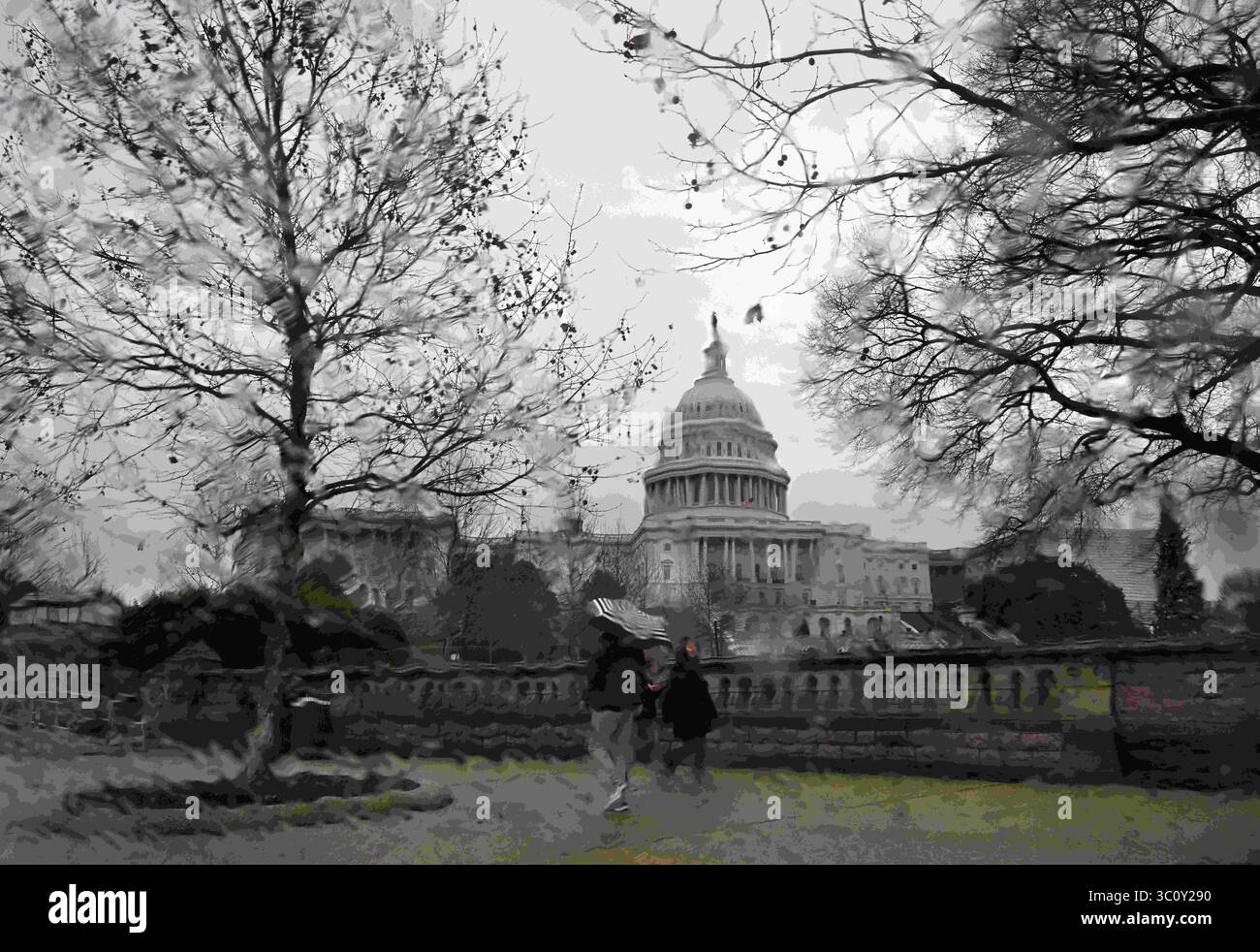 28 dicembre 2018 - Washington, DC, USA - il Campidoglio degli Stati Uniti è avvolto dalla pioggia e dalla nebbia il 28 dicembre 2018 a Washington DC mentre il blocco parziale del governo continua durante la situazione di stallo con il presidente Donald Trump che chiede fondi per il suo muro di confine e il Senato che rifiuta. (Immagine di credito: © Carol Guzy/ZUMA Wire) Foto Stock