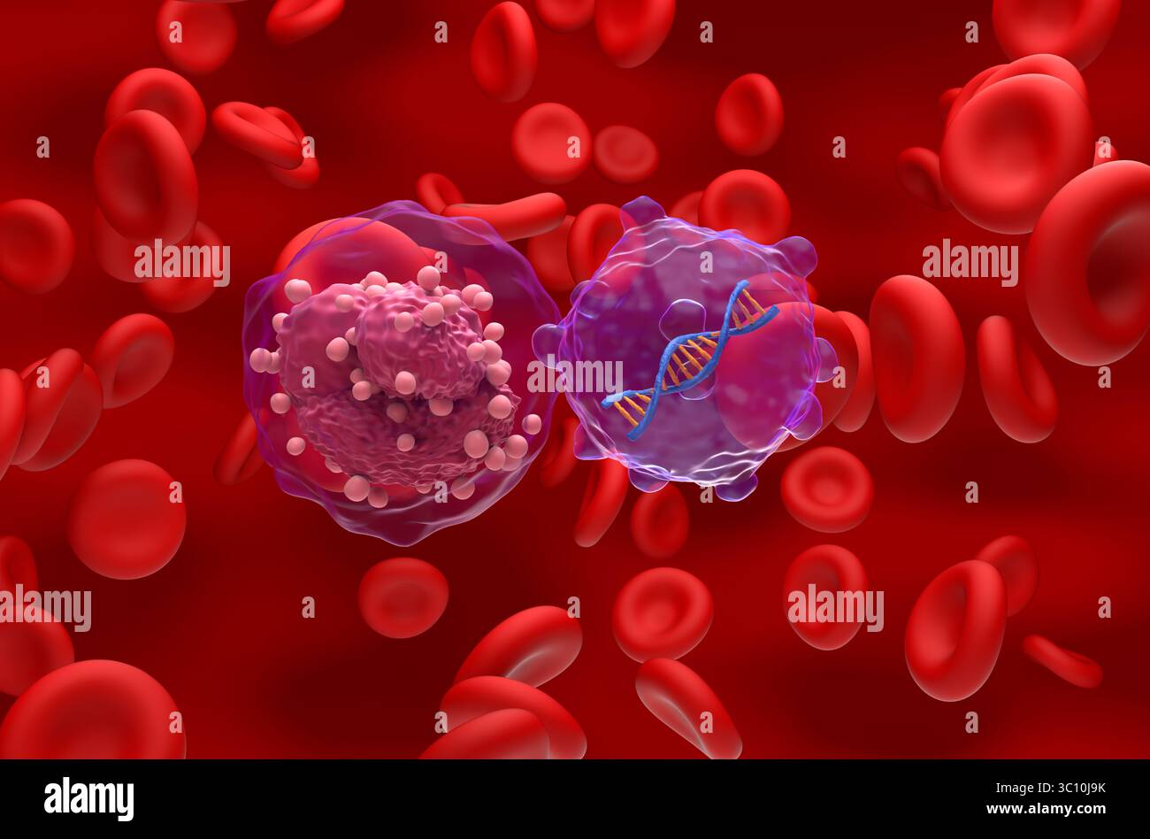 Terapia genica nella leucemia linfocitica acuta (TUTTE) - Vista ravvicinata illustrazione 3d. Foto Stock