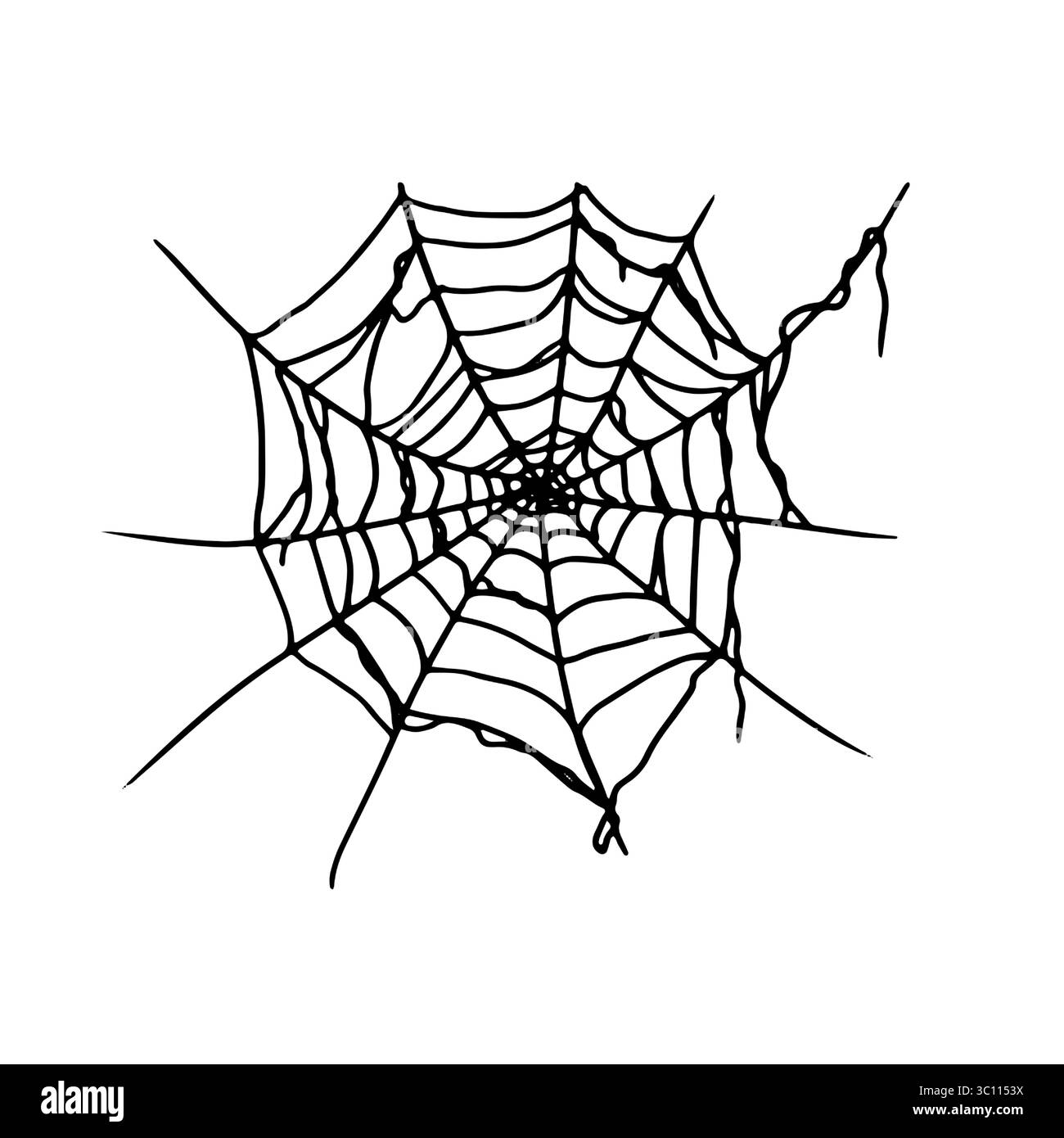 Ragnatela, silhouette, inchiostro bianco e nero. Illustrazione vettoriale. Il tradizionale decor della festa di Halloween e' isolato su uno sfondo bianco Illustrazione Vettoriale