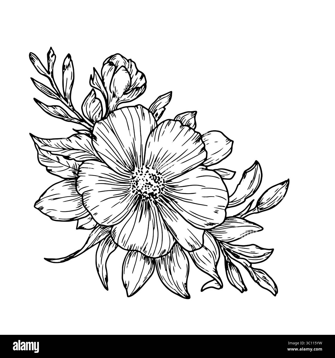 Bouquet di fiori selvatici con petali e gemme, schizzo bianco e nero. Illustrazione vettoriale. Papaveri, ramoscelli di fiori e foglie, isolati su bianco Illustrazione Vettoriale