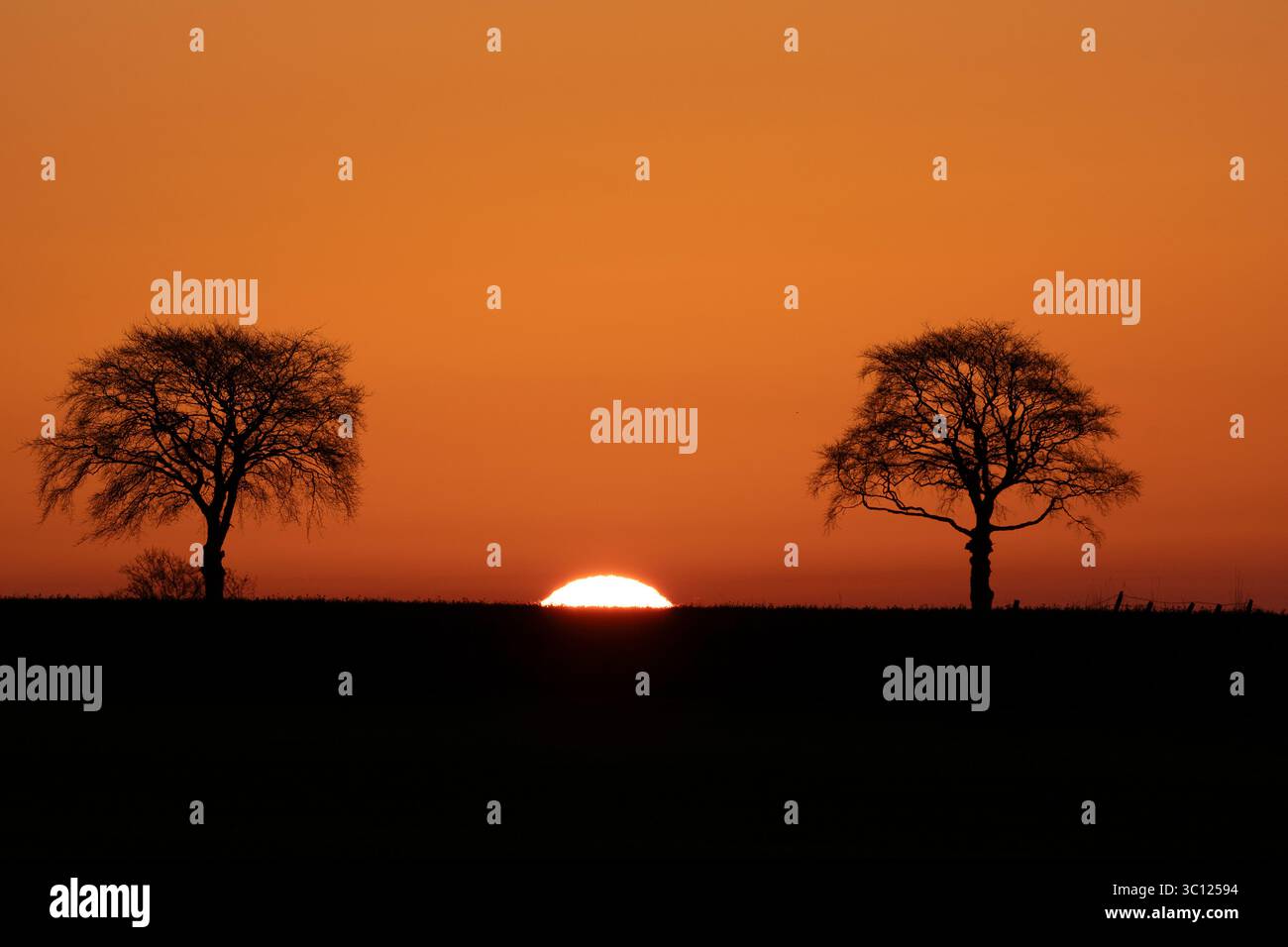 I due alberi di Valinor Foto Stock