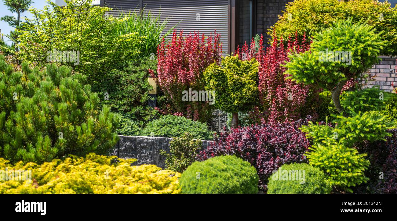 Una variegata gamma di piante e arbusti esposti in un giardino ben tenuto sotto il cielo azzurro, che mostra diverse texture e sfumature di fogliame. Foto Stock
