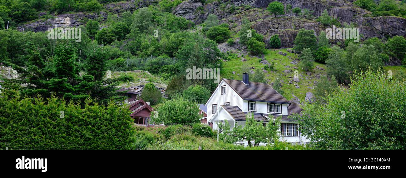 Tradizionale casa in legno circondata da vegetazione lussureggiante e colline rocciose a Flåm, Norvegia, che offre un tranquillo paesaggio rurale scandinavo. Foto Stock