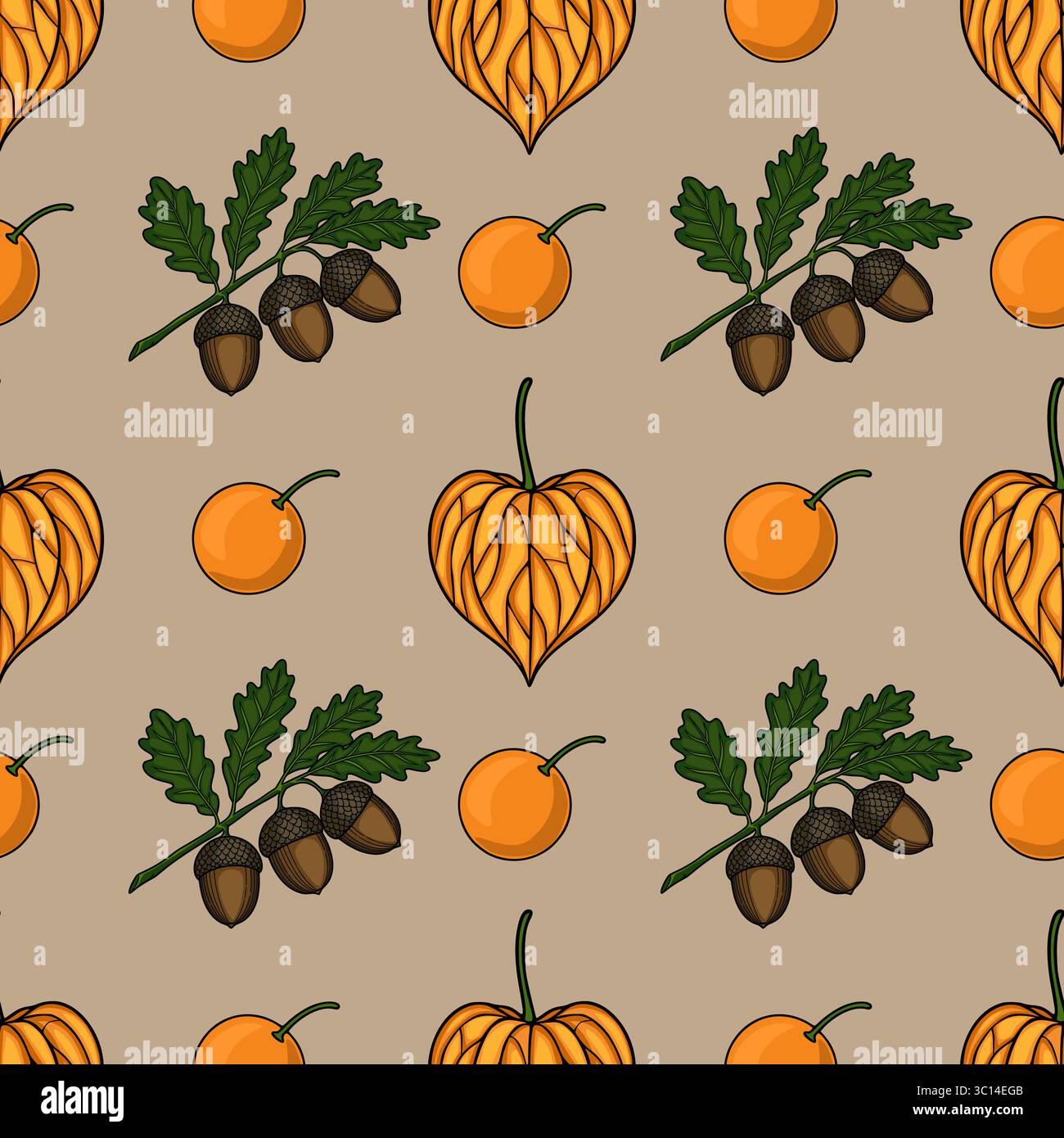Modello autunnale vettoriale senza cuciture con illustrazioni disegnate a mano di fisali, ghiande su rami di quercia e piccole arance su sfondo beige, creat Illustrazione Vettoriale