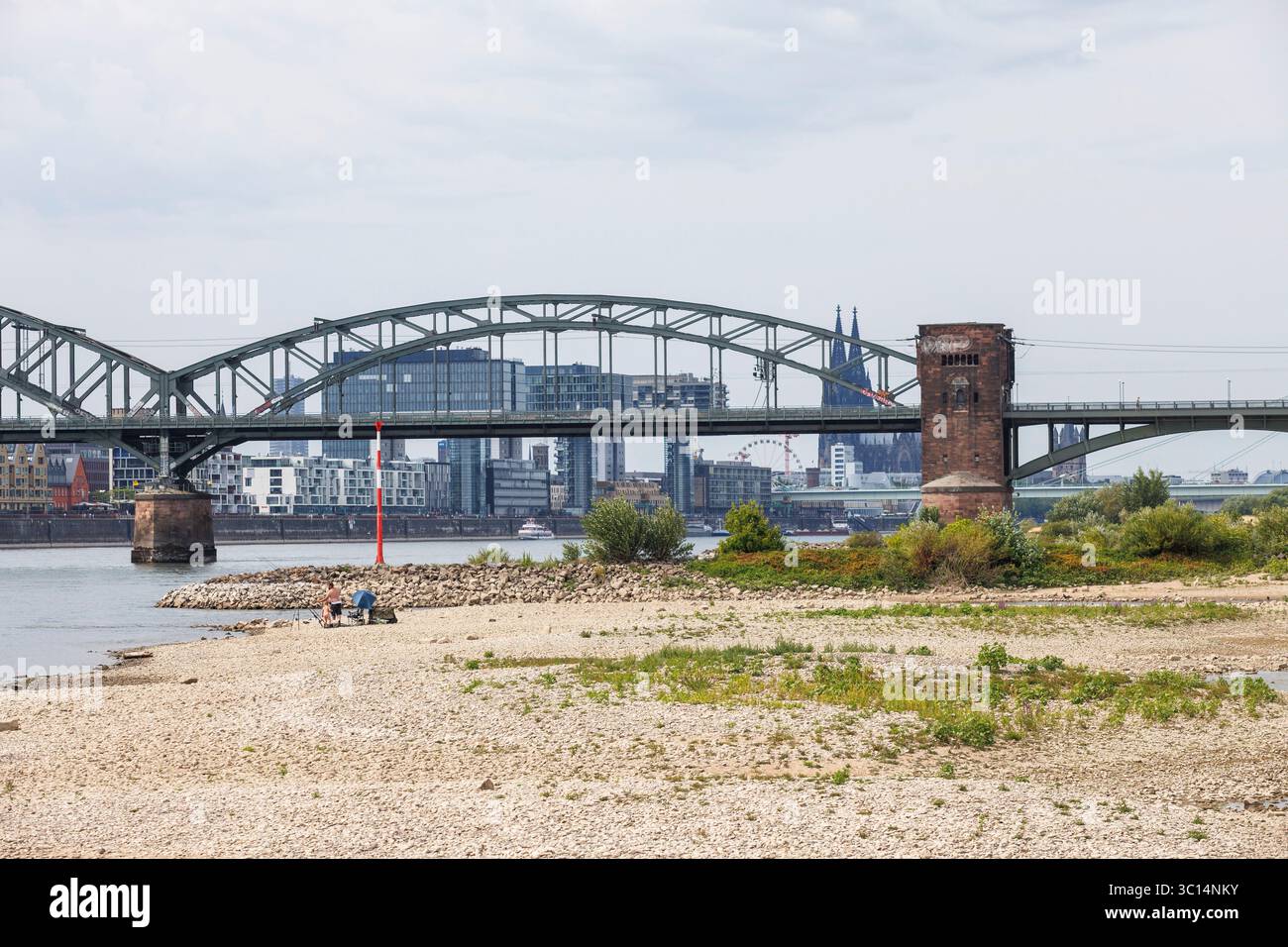 Il livello del Reno il 19 luglio 2025 a 166 cm, sponde del fiume Reno a Colonia-poll, vista sul Ponte Sud e la cattedrale di Colonia, Germania. Pegel Foto Stock