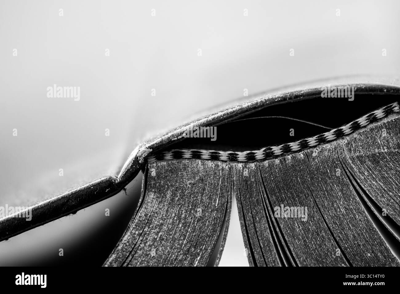 Aprire il libro primo piano della colonna vertebrale in bianco e nero Foto Stock