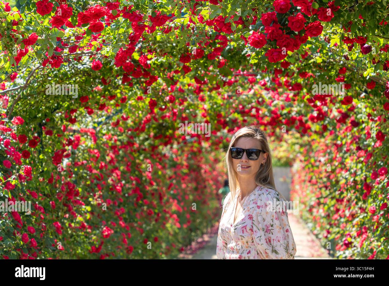 Donna bionda con occhiali da sole in un giardino di rose rosse Foto Stock