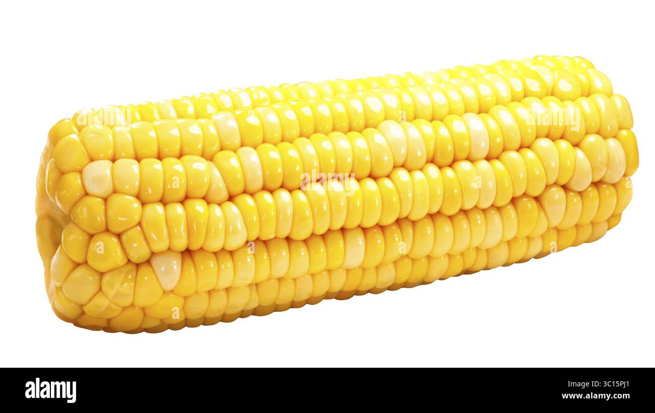 Il mais su cob (Zea mays), o mais intero orecchio isolato Foto Stock