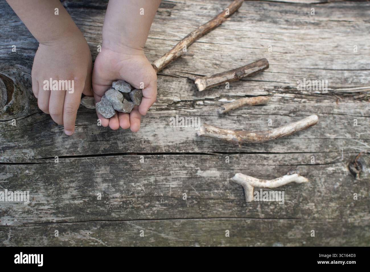 Vista dall'alto ravvicinata delle mani di un bambino che sistemano bastoni e pietre sul pavimento della foresta. Attività di gioco basate sulla natura che promuovono l'esplorazione sensoriale, c Foto Stock