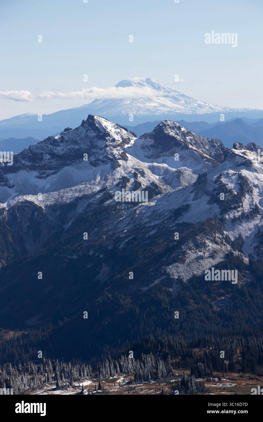 Il monte Adams si vede in lontananza da un sentiero escursionistico nel Mount Rainier National Park Foto Stock
