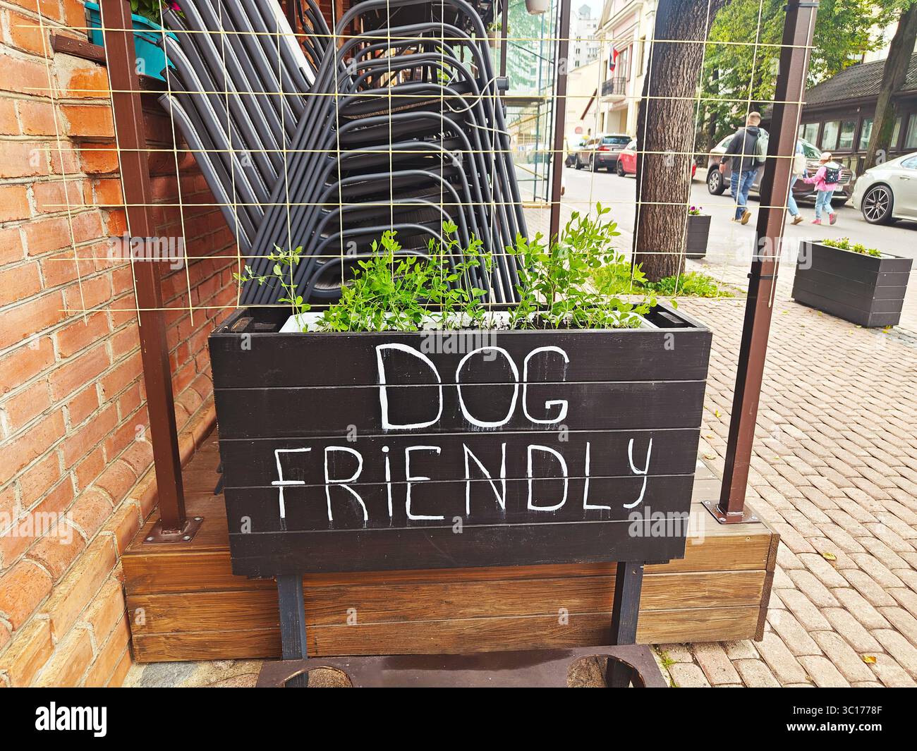 Minsk, Bielorussia - 13 giugno 2025: Cartello indicante lo spazio adatto ai cani in una piantatrice all'esterno di un caffè a Minsk con ambientazione urbana Foto Stock