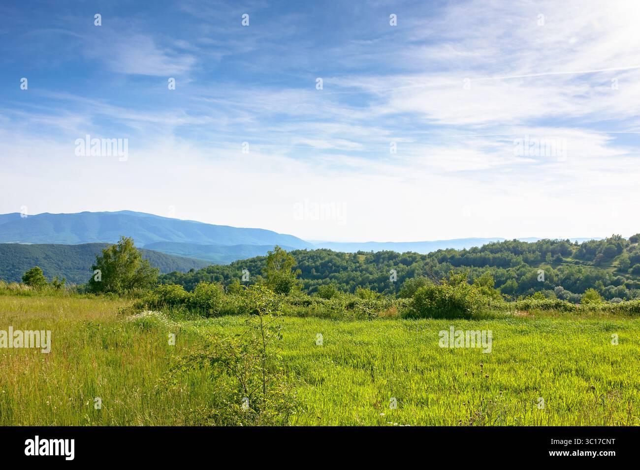 campo nel paesaggio montano in estate. splendida vista delle verdi alpi dei carpazi sotto il cielo blu al tramonto. pittoresco paesaggio di campagna con roll Foto Stock