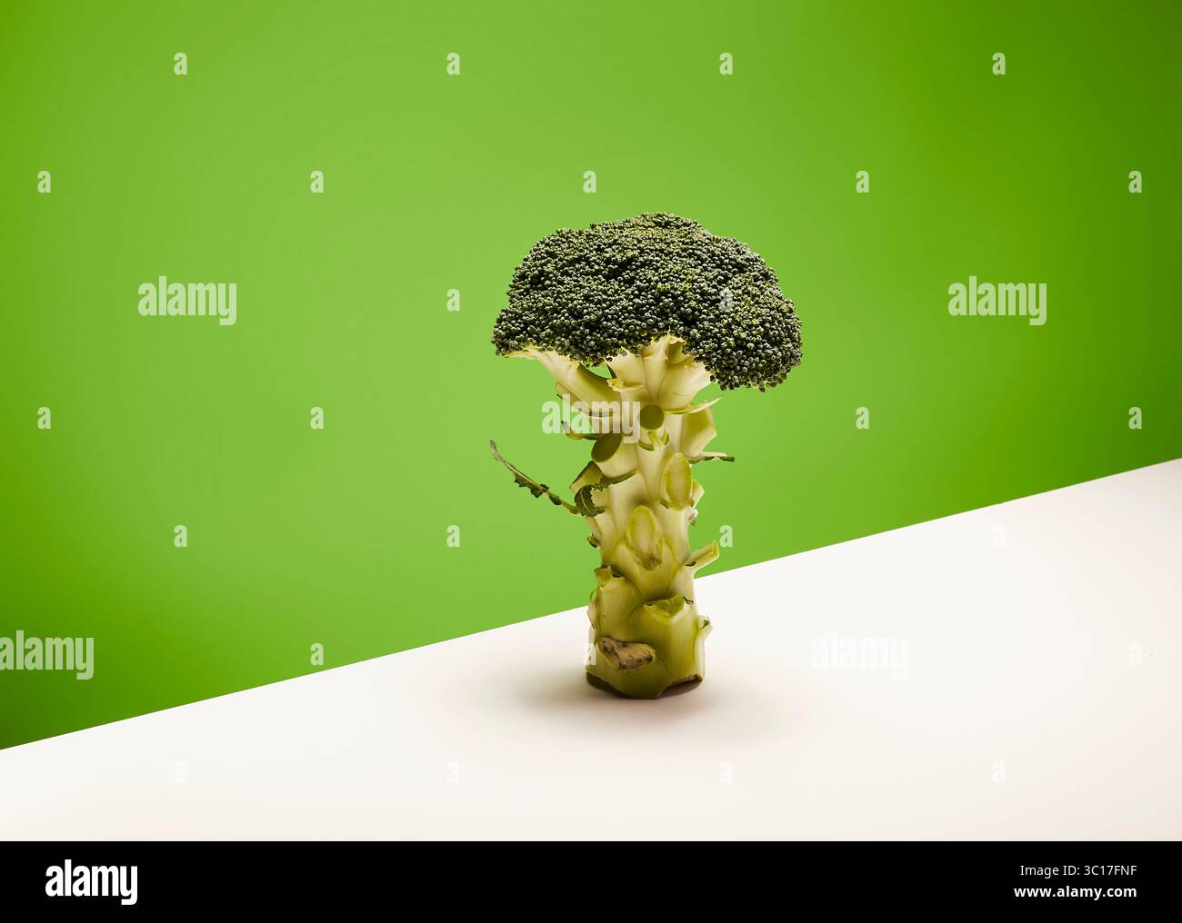 I broccoli sono verdi vivaci e presentano fiori densi e testurizzati. Lo stelo è spesso e robusto e fornisce una base stabile. Lo sfondo è una sfumatura o Foto Stock