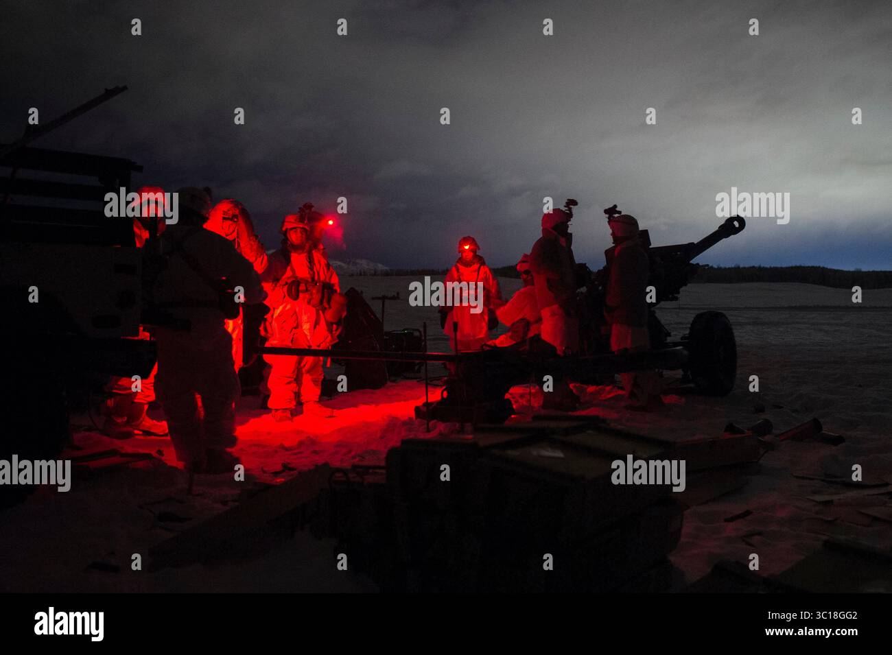 16 gennaio 2019 - Joint base Elmendorf-Richardson, Alabama, Stati Uniti - paracadutisti dell'esercito con Bravo Battery, 2nd Battalion, 377th Parachute Field Artillery Regiment, 4th Infantry Brigade Combat Team (Airborne), 25th Infantry Division, U.S. Army Alaska, condurre addestramento al fuoco vivo M119 105 mm presso Malemute Drop zone, Joint base Elmendorf-Richardson, Alaska, Alaska, 16 gennaio 2019. I paracadutisti del 1st Battalion, del 501st Parachute Infantry Regiment e del 2nd Battalion, del 377th Parachute Field Artillery Regiment condussero un'operazione di entrata forzata in volo e seguirono un'esercitazione di fuoco vivo mentre gli elementi fr Foto Stock