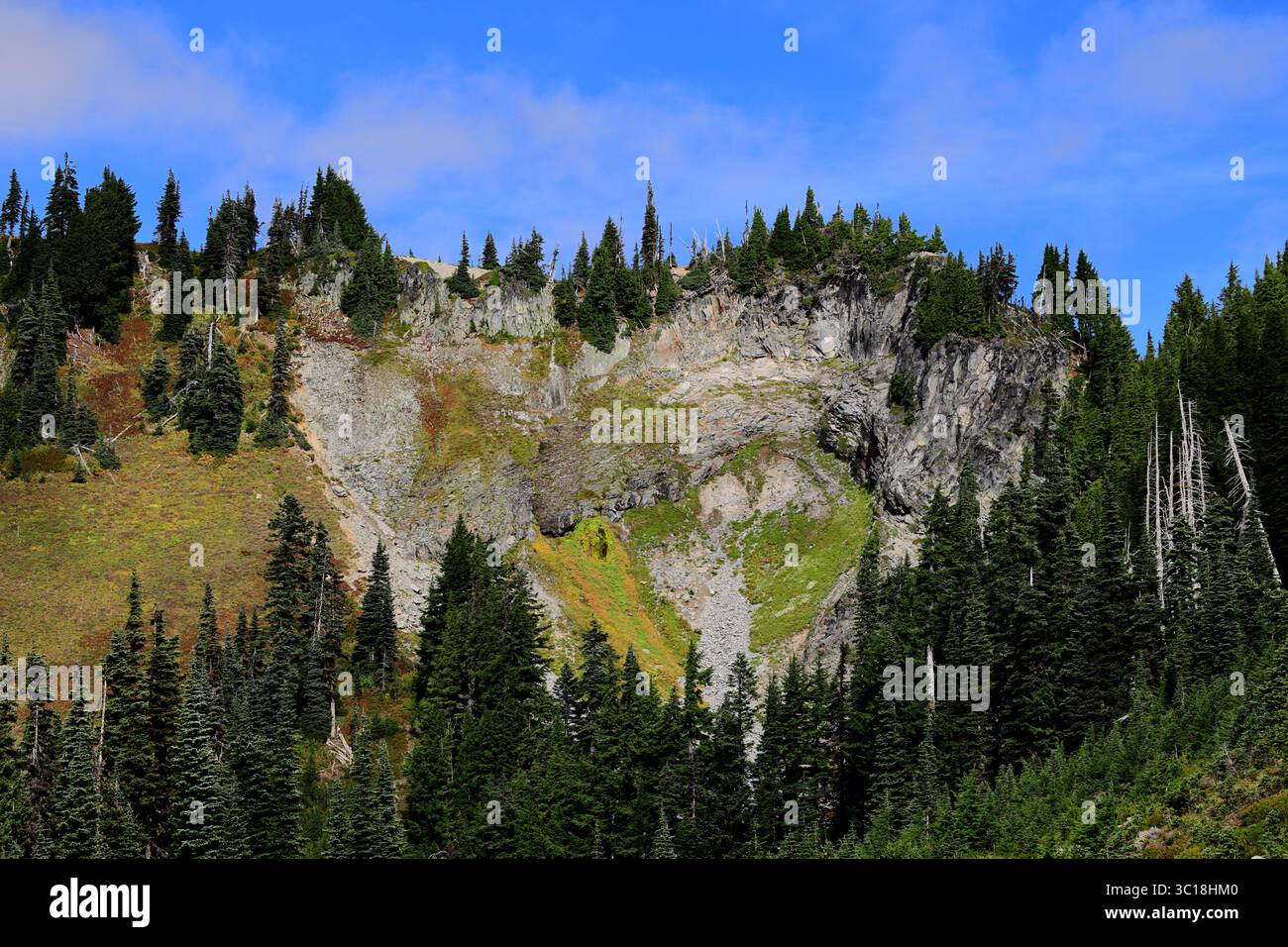 Abeti e pini Evergreen si trovano alla base di una ripida scogliera rocciosa drappeggiata da muschio lussureggiante su prati, rivelando l'aspra scarpata boscosa del Monte Rainier Foto Stock