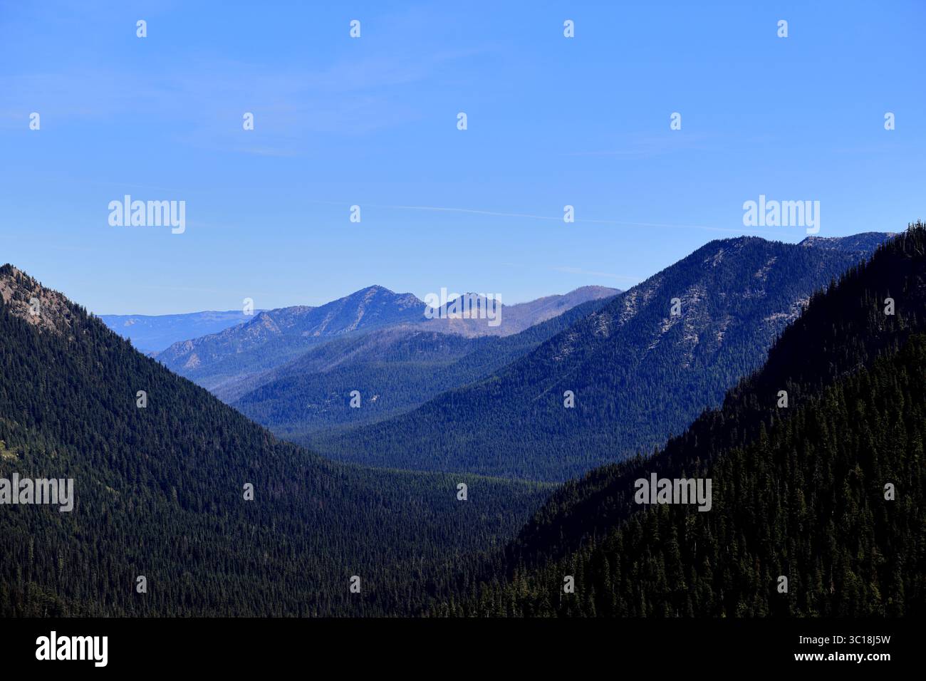 Strati di creste boscose si ritirano in valli di montagna azzurre sotto la luce dorata del mattino, rivelando la vasta distesa selvaggia del Monte Rainier. Foto Stock